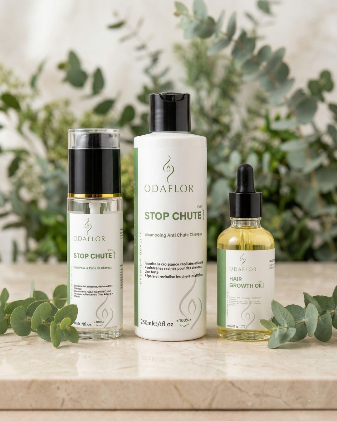 Le Rituel Renaissance Capillaire